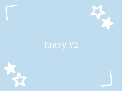 Entry #2