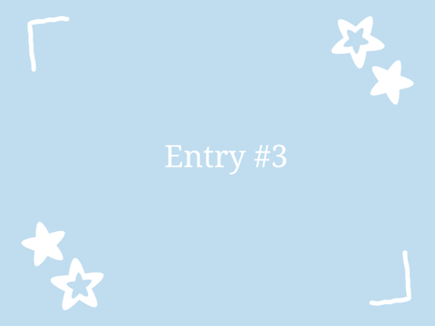 Entry #3