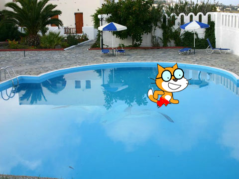 Lets Swim!