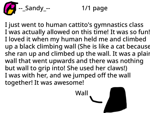 I went to the gymnastics 