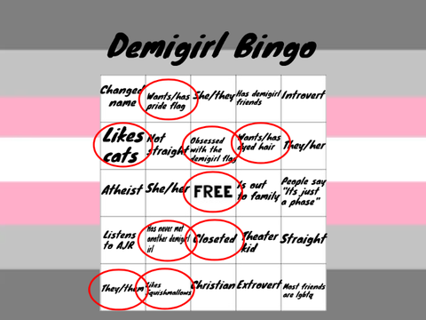 demigirl bingo