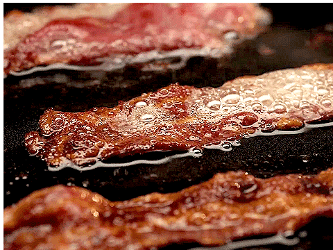bacon