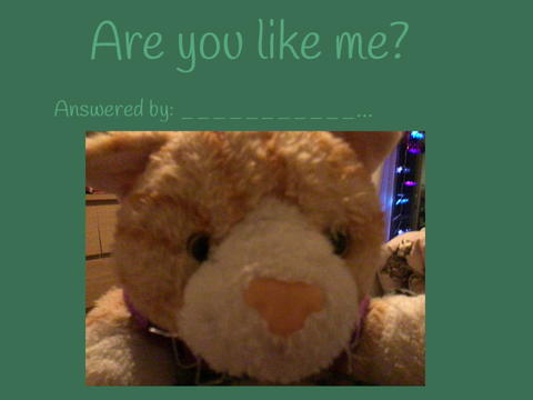 10 questions to see if you are like me!