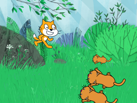 warrior cat clan life be like