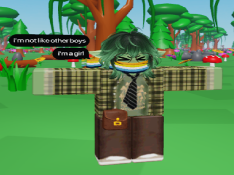 drew a roblox avatar that i made in an avatar game
