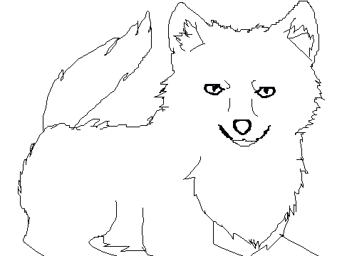 Coloring Contest