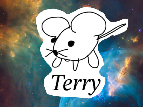 Terry adventure 