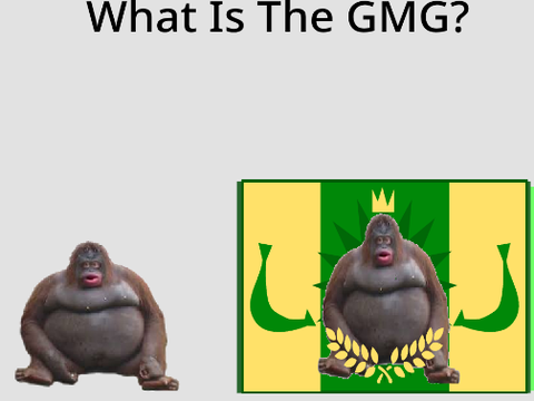 What Is The GMG?