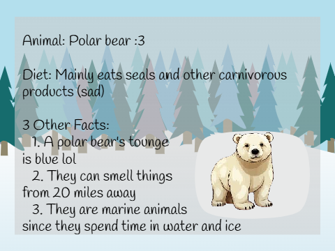 Research Activity | Winter camp