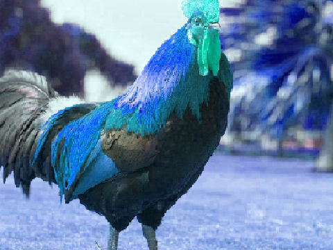 FUNNY PROJECT CLICK HERE FOR A GOOD LAUGH YES SO FUNNY YASSS