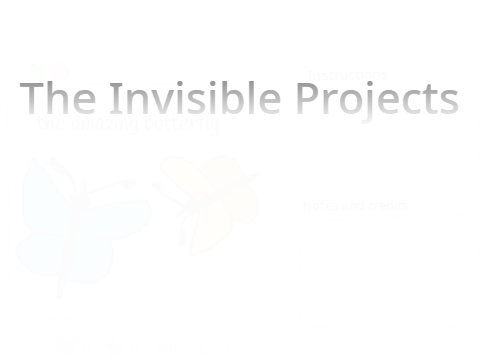 The Invisible Projects