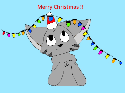Merry Christmas everyone!!!