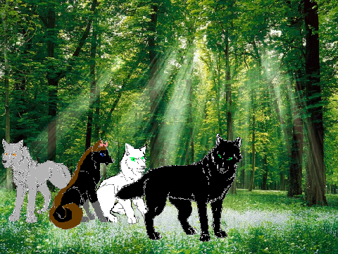 wolf clans episode 3