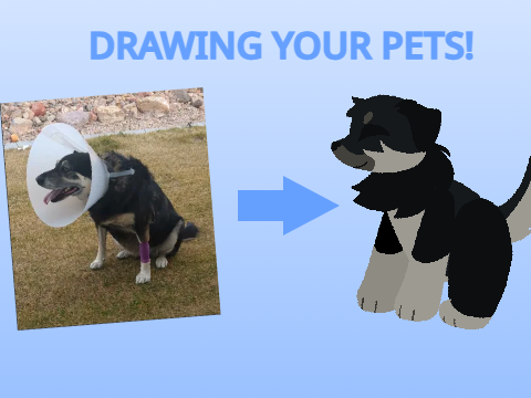 ⭐ drawing your pets!