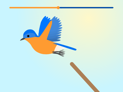 Bluebird "video"