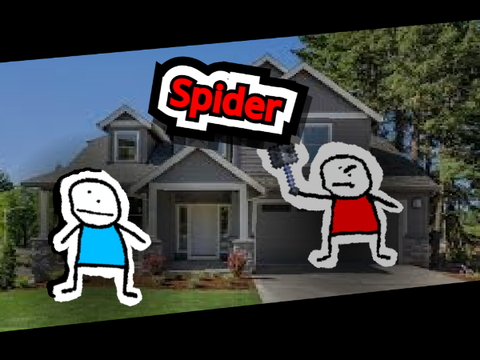 Spider... #all #animations