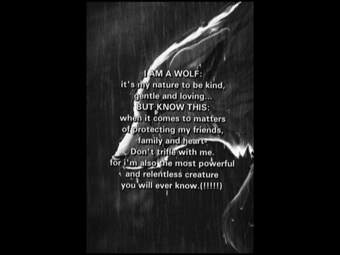 Wolf Quotes