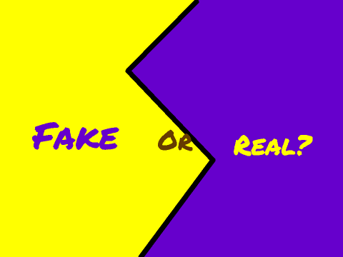 Is the Food a Fake? Or is it Real?