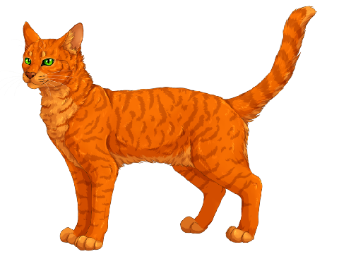 Warrior Cats Quiz (Arc One)
