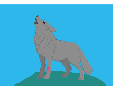 Wolf Drawing