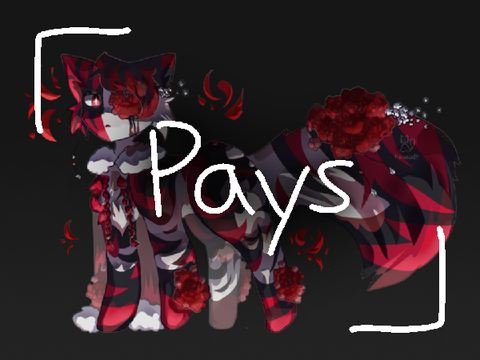 Payments 5/4 