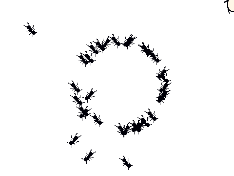  (seizure warning) the ants rip and consume the fle
