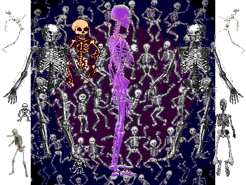 BONE PARTY