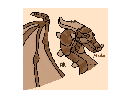 Mocha- Storage