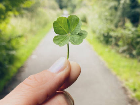 scoundrel's luck . a clover application