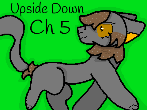 Upside Down Ch 5 - Entry