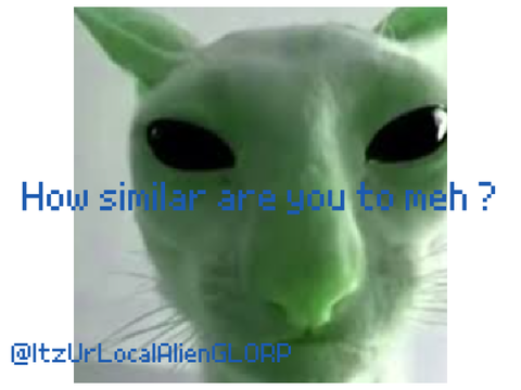 How similar are you to meh?? remix