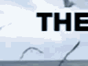 aesthetic quote 1