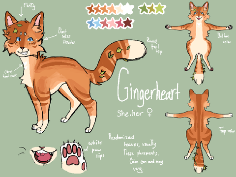 Gingerheart ref 2025-2026