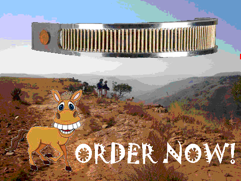 Product Advertisement (Steve the Steed II)