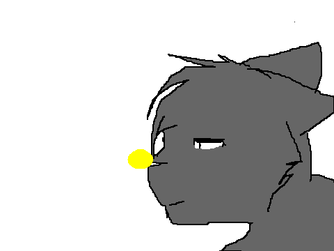 TEST ANIMATION
