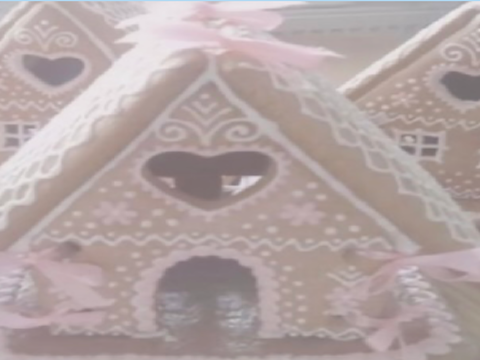 ૮꒰◞ ˕ ◟ ྀི꒱ა reasons why we ୨୧ L̲O̲V̲E̲ sally ⪩⪨