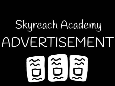  SKYREACH ACADEMY ADVERTISEMENT remix