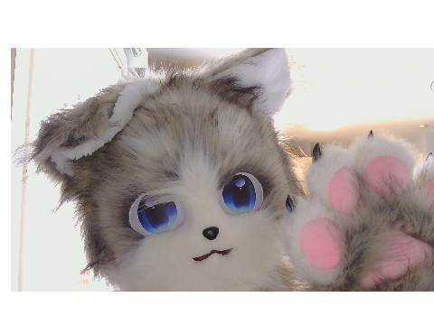 I GOT A FURSUIT HEAD!!!!!!!!!!!