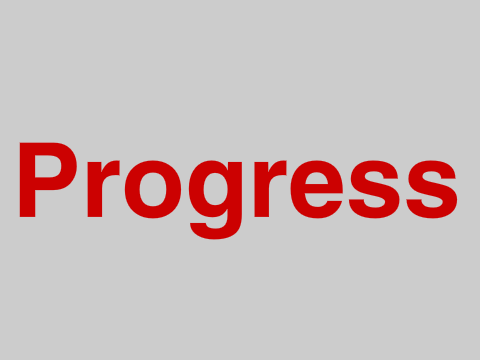 Progress