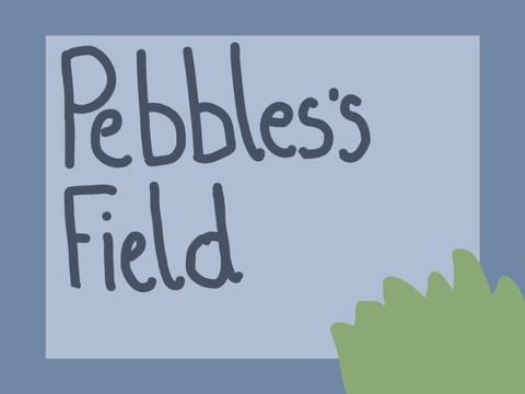 Pebbles’s field