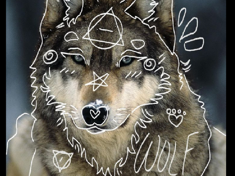 A Wolf Therian