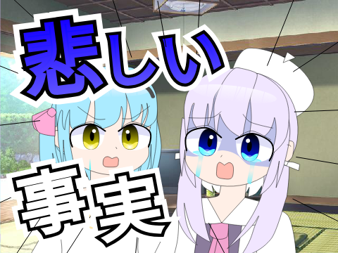 【茶番】今年を振り返ったら悲劇が多すぎた