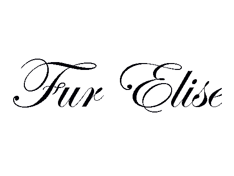 Fur Elise Using Blocks
