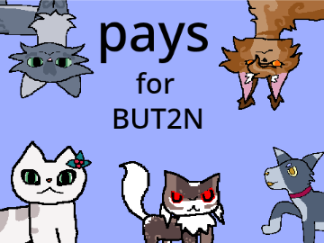 pays for BUT2N
