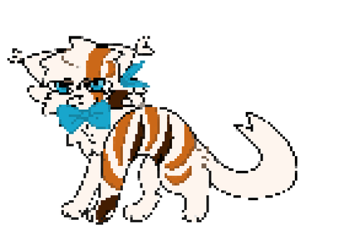 I became Temu Tinytansy 