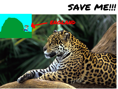 Save the luxury leopard