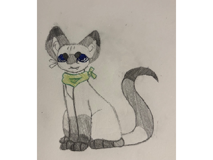 Meow art!!