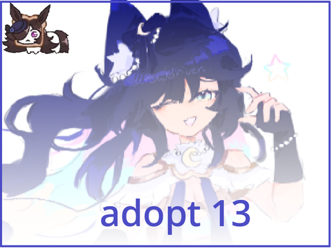 adopt 13