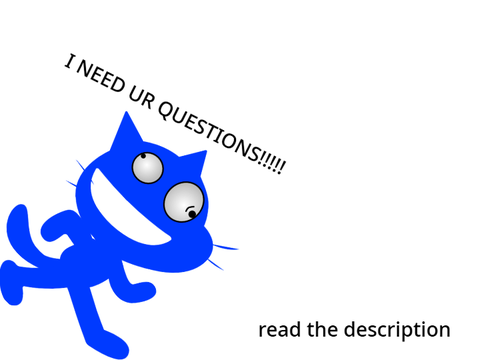 Q&A
