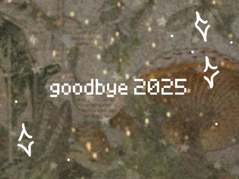 ꧁ 2025 recap <33 ꧂